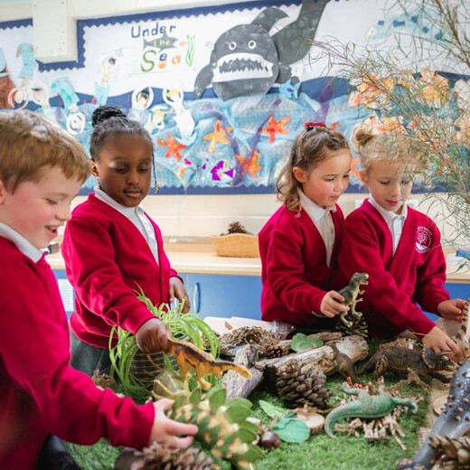 Prestwood infants juniors 244