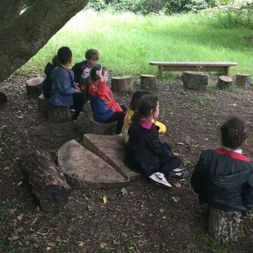 Forest School