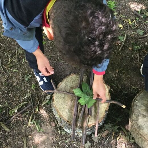 forest school 2