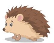 Hedgehog