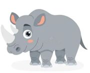 Rhino